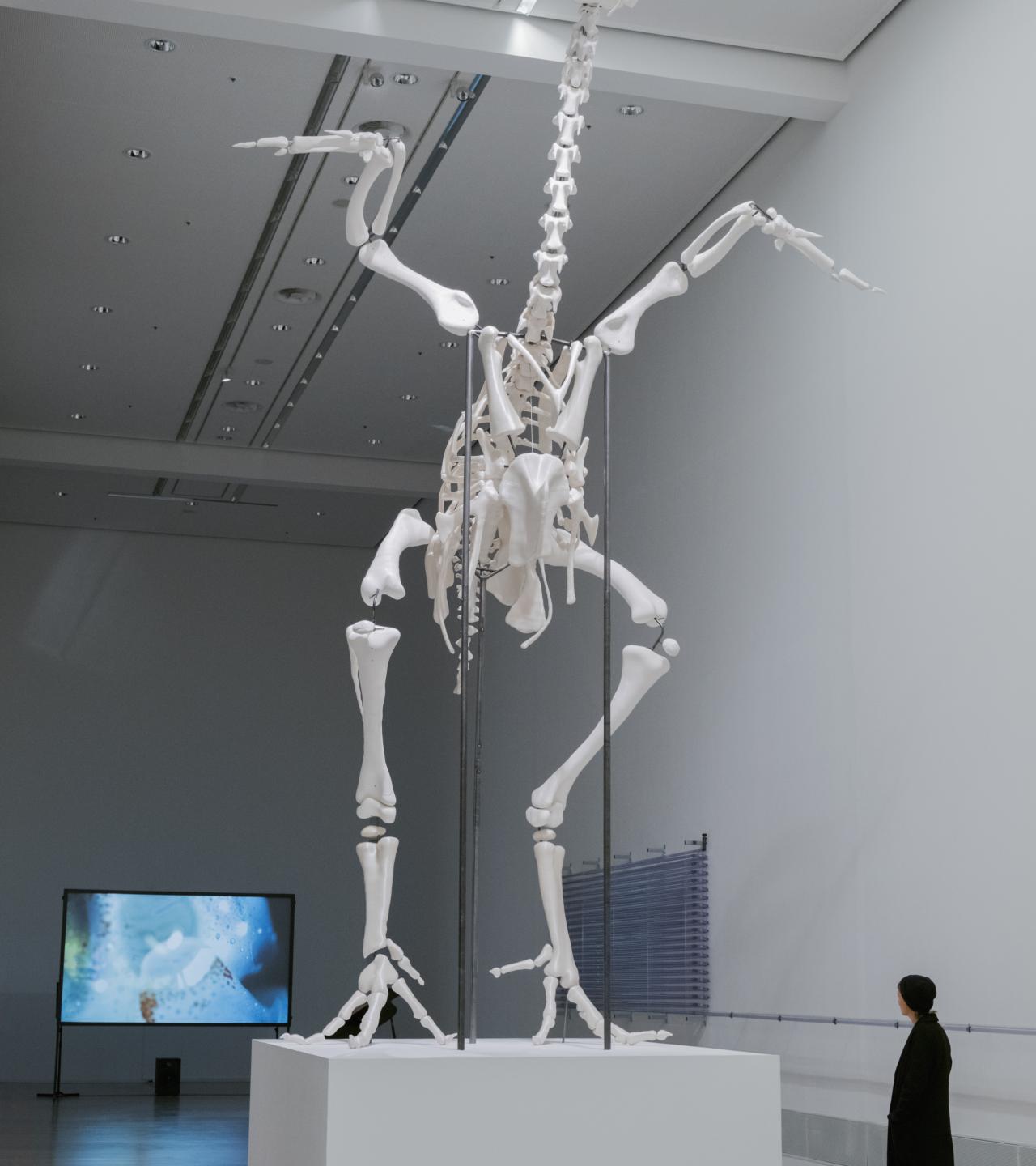 Monument For The 308_Installation View at Berlinische Galerie