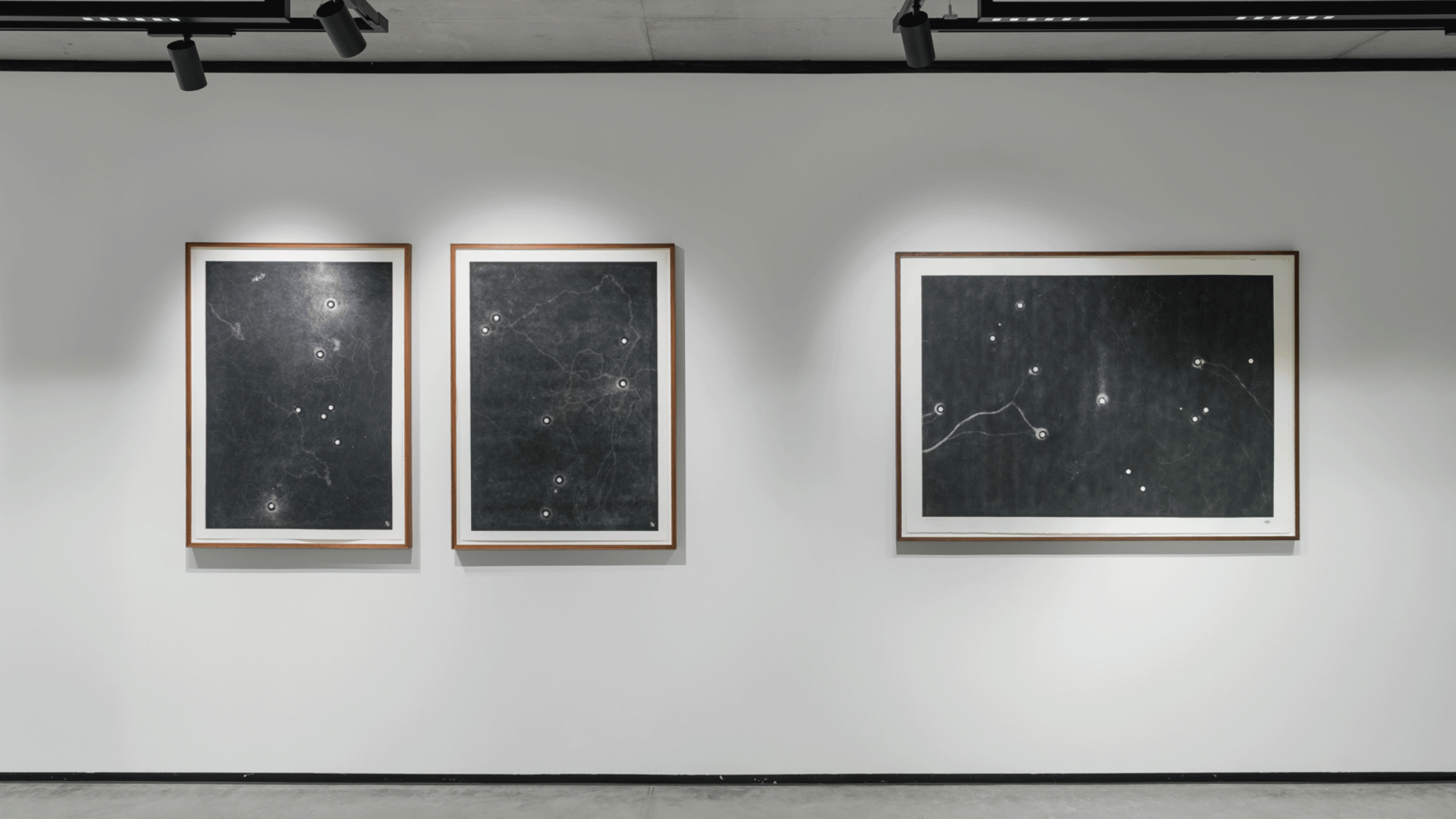 Kunstwerk der Galerie EARTH MATTERS