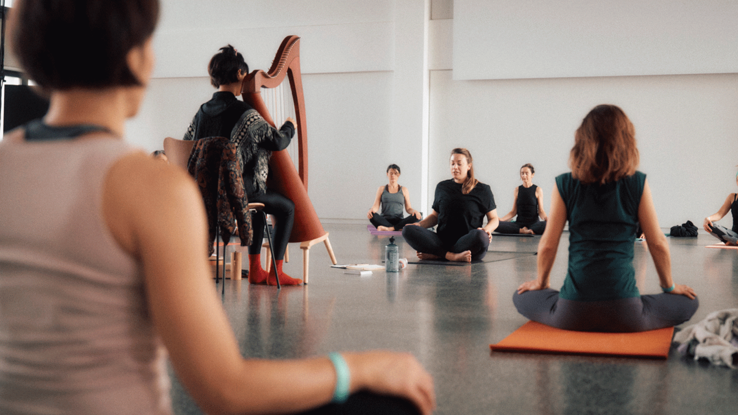 Health ’n’ Harmony