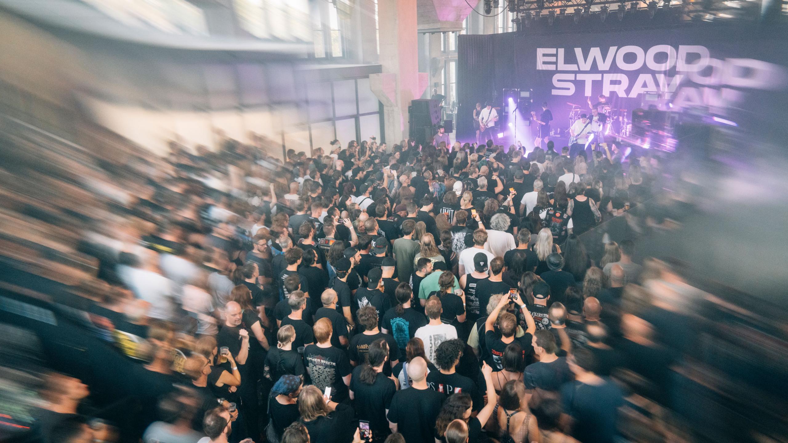 Elwood Stray im Bergson